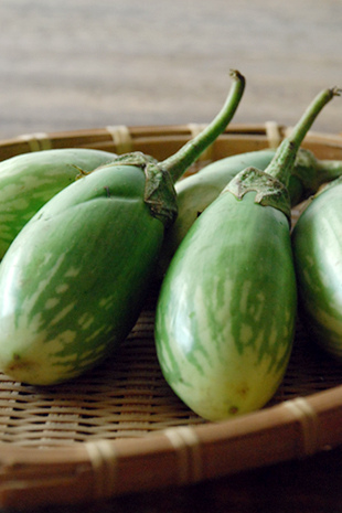 Big Brinjal Green/ Bharta Baingan Green