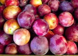 Imported plum