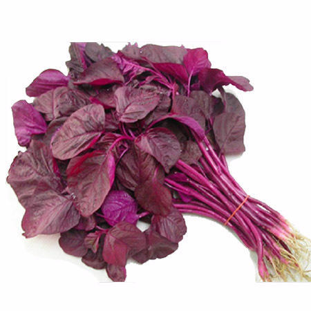 Lal Bhaji/Red Amaranth / Chawli Red / Bhaji Lal/Chowlai Red