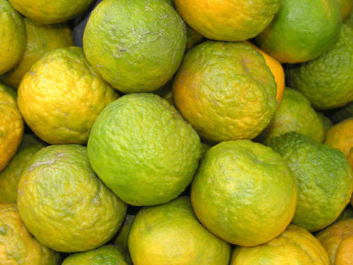 Indian Oranges big