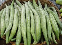 Snake Gourd/Padwal/Chachinda Big