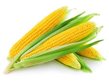 Sweet Corn 2 pic