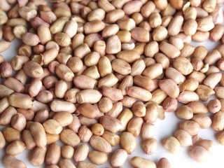 Peanuts/Mungaphali/ Groundnut Raw/Fallidana