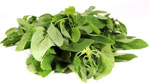  Chawali Bhaji/Green Chawli Leaves/ Chawli Bhaji/Amaranth Leaf