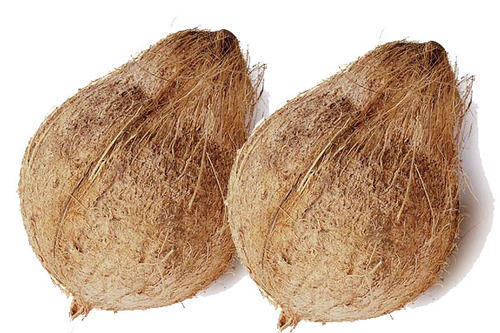 Dry Coconut - Medium, 1 pc