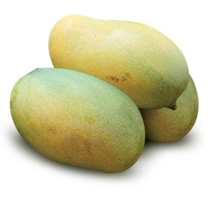 Amrapali Mango