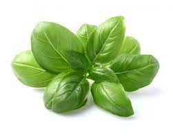 Basil (Pack Of 100 Gram)