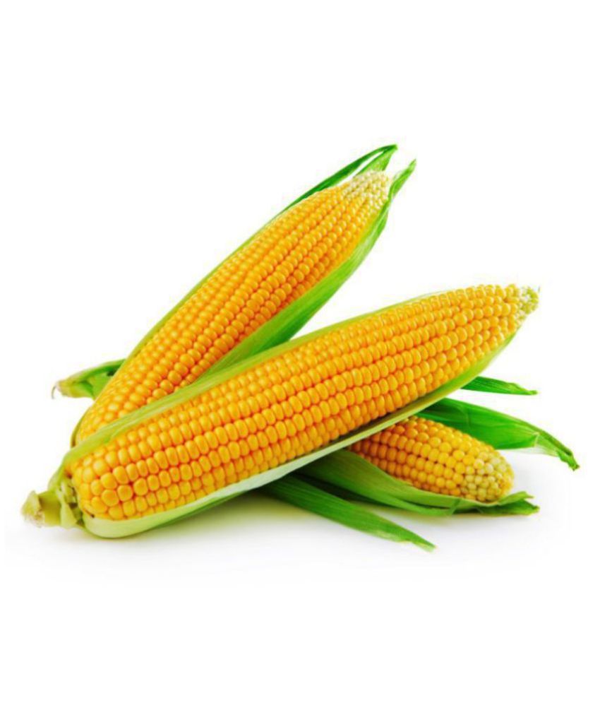 Desi Corn 