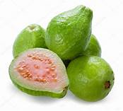 Guava/ Peru /Jamb