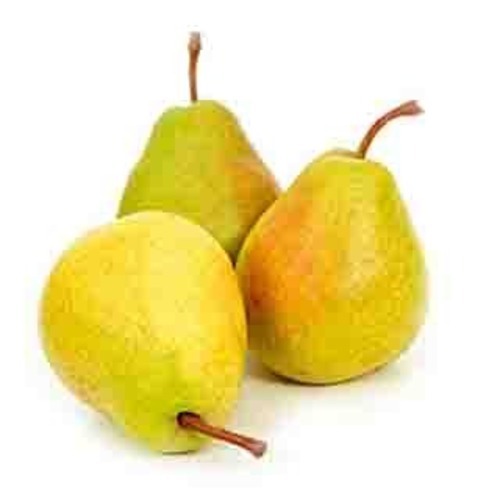 Indian Pear (Babugosha)