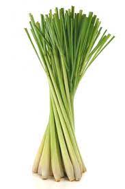 Lemon Grass