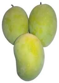 Chausa Mango