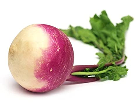 Shalgum /Shalgam/Turnip