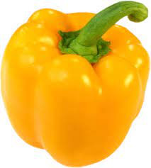 Yellow Capsicum