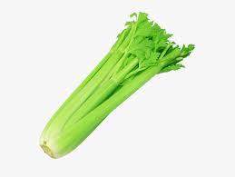 Celery