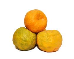 Indian Oranges Small