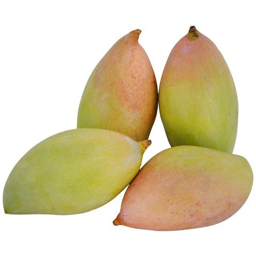 Totapuri Mango